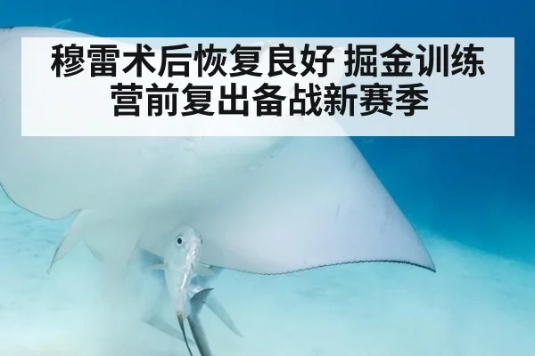 穆雷术后恢复良好 掘金训练营前复出备战新赛季