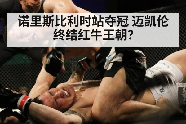 诺里斯比利时站夺冠 迈凯伦终结红牛王朝？